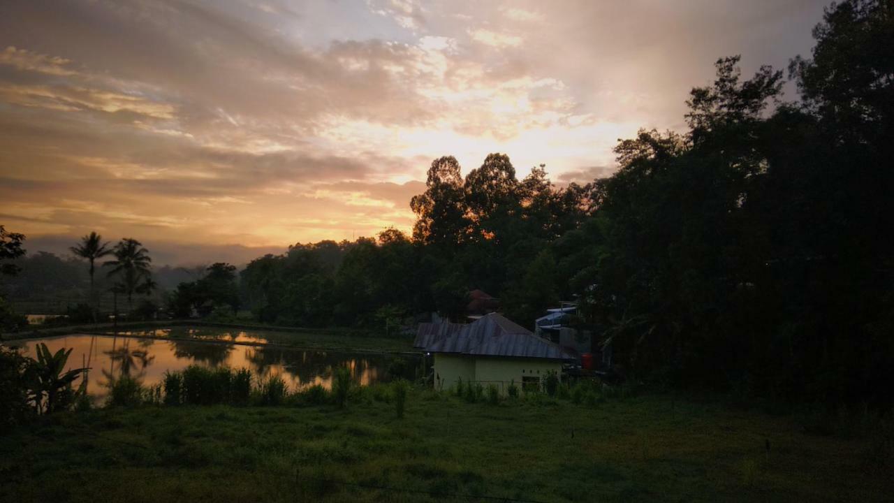 Mama Tia Family Homestay Rantepao Exterior photo
